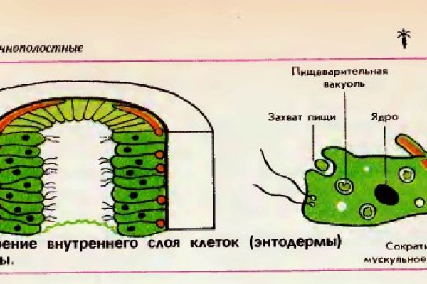 Кракен это даркнет маркетплейс